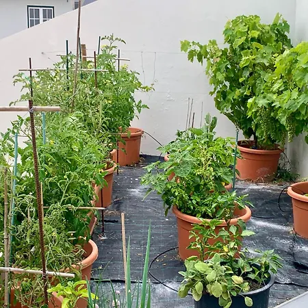 Two Palms Βίλα Ναζαρέ