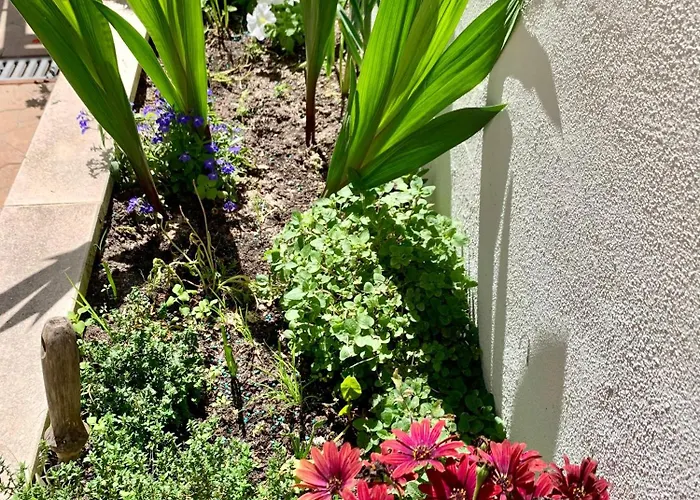 Βίλα Two Palms *