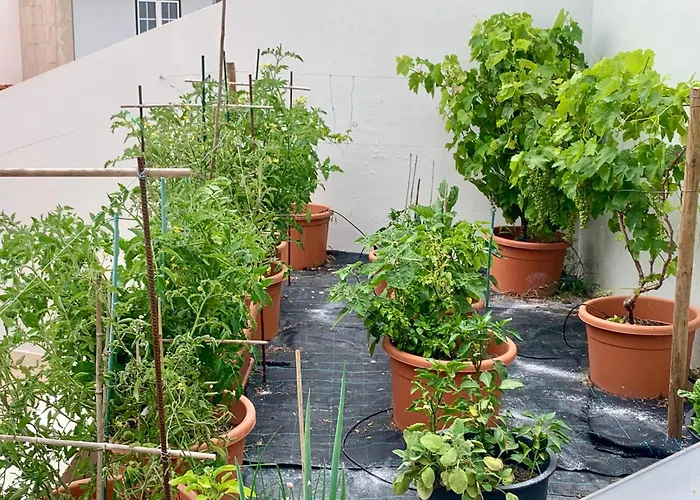 Two Palms Villa Nazare