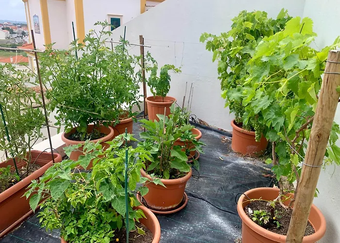 Βίλα Two Palms Ναζαρέ